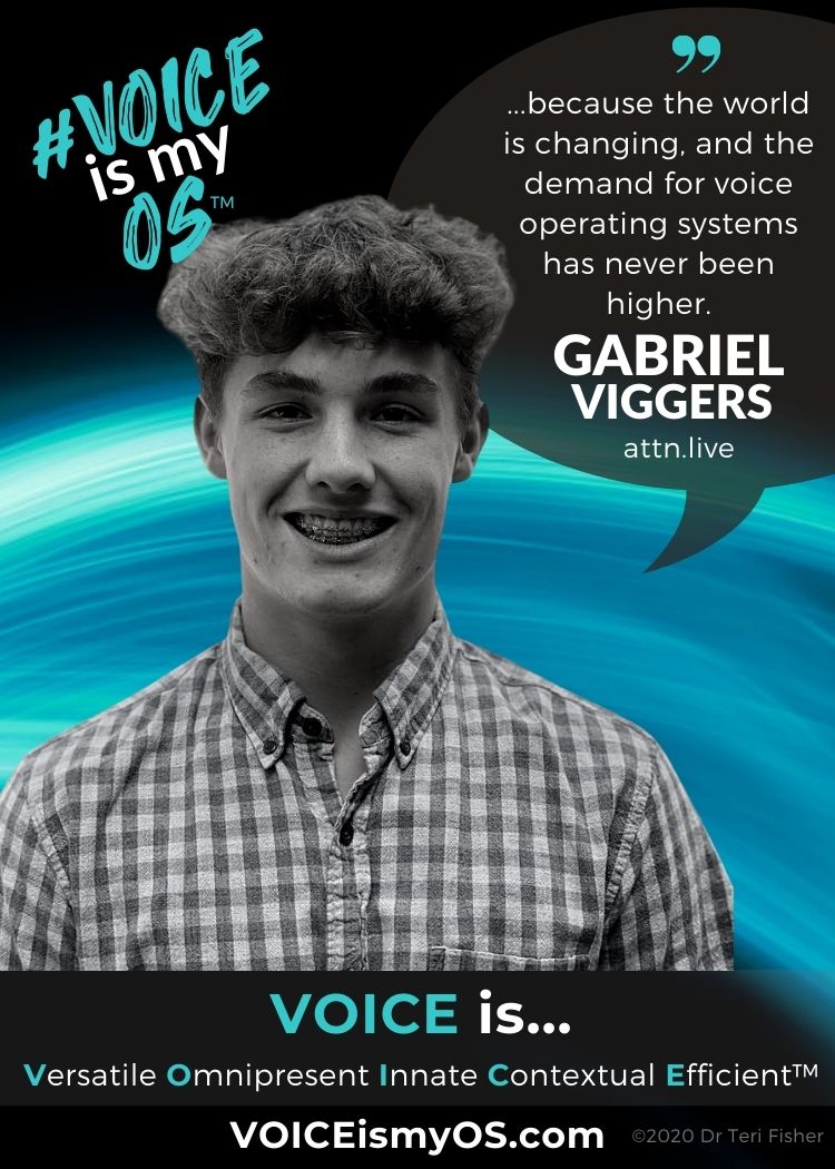 VOICEismyOS Gabriel Viggers Teal